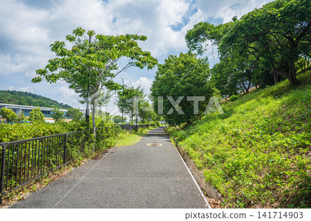大阪府茨市齋藤縣道1號沿線的人行道 141714903
