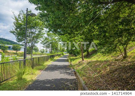 大阪府1號縣道沿線的人行道 大阪府1號縣道沿線的人行道 141714904