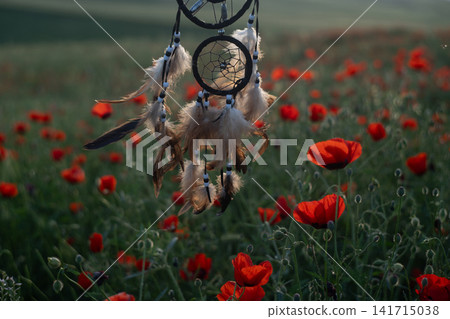 Dreamcatcher Moving in Wind Against Blooming Poppy Field at Sunset. Dreamcatcher Moving in Wind Against Blooming Poppy Field at Sunset. 141715038