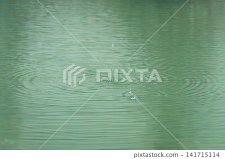 春日水邊:雨滴落在水面上泛起的漣漪(12) 春日水邊:雨滴落在水面上泛起的漣漪(12) 141715114