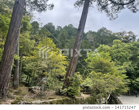 Scenery within the grounds of Isonokami Shrine in Nara Prefecture Scenery within the grounds of Isonokami Shrine in Nara Prefecture 141715247