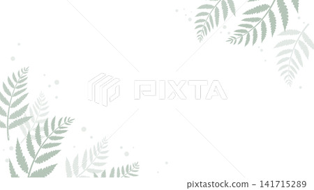 16:9 寬高比蕨類植物背景壁紙 16:9 寬高比蕨類植物背景壁紙 141715289