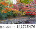 Autumn leaves in Shuzenji, near Katsura Bridge, along the Katsura River. 141715476