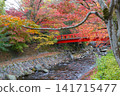 Autumn leaves in Shuzenji, near Katsura Bridge, along the Katsura River. 141715477
