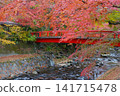 Autumn leaves in Shuzenji, near Katsura Bridge, along the Katsura River. 141715478