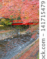 Autumn leaves in Shuzenji, near Katsura Bridge, along the Katsura River. 141715479