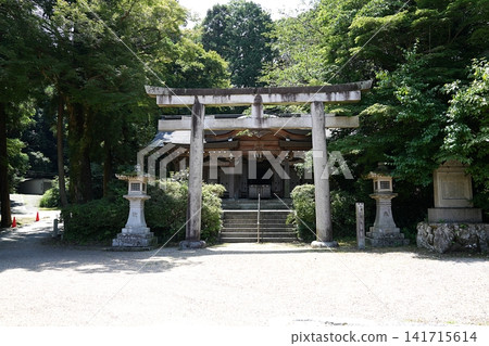 大阪赤坂千早南神社（夏季） 141715614