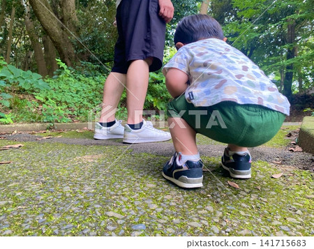 The backs of a parent and child walking along a forest path. The backs of a parent and child walking along a forest path. 141715683