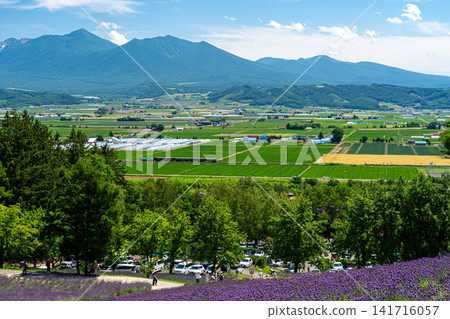 從薰衣草田中可以看到JR富良野線上的野呂歌號列車,遠處有十勝山脈。 從薰衣草田中可以看到JR富良野線上的野呂歌號列車,遠處有十勝山脈。 141716057