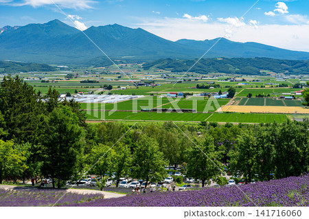 從薰衣草田中可以看到JR富良野線上的野呂歌號列車,遠處有十勝山脈。 從薰衣草田中可以看到JR富良野線上的野呂歌號列車,遠處有十勝山脈。 141716060
