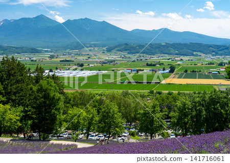 From the lavender fields, you can see the Norokko train running on the JR Furano Line, with the Tokachi Mountain Range in the distance. From the lavender fields, you can see the Norokko train running on the JR Furano Line, with the Tokachi Mountain Range in the distance. 141716061