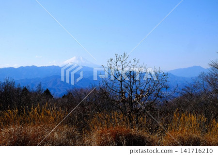 [Kanagawa Prefecture] Mount Fuji as seen from Jinba Mountain on a winter morning 141716210
