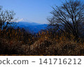 [Kanagawa Prefecture] Winter view of Mt. Fuji and trees from Mt. Jinba 141716212