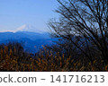 [Kanagawa Prefecture] Winter view of Mt. Fuji and trees from Jinba Mountain 141716213