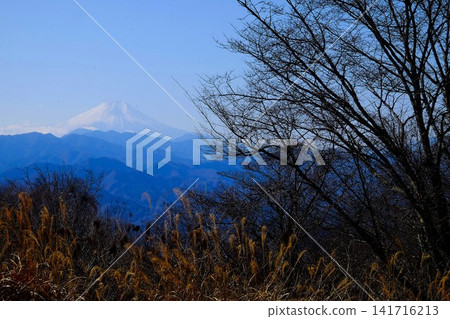 【神奈川縣】從神馬山眺望富士山和樹木的冬景 【神奈川縣】從神馬山眺望富士山和樹木的冬景 141716213