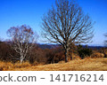 [Kanagawa Prefecture] Winter trees on the summit of Jinba Plateau, the Okutama mountain range, and the city of Hachioji. 141716214