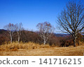 [Kanagawa Prefecture] Winter trees on the summit of Jinba Plateau and the mountains of the Okutama mountain range 141716215