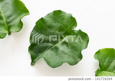 Okawakame (a type of seaweed), Yunnan Baiyao (a type of herbal medicine). Okawakame (a type of seaweed), Yunnan Baiyao (a type of herbal medicine). 141716264