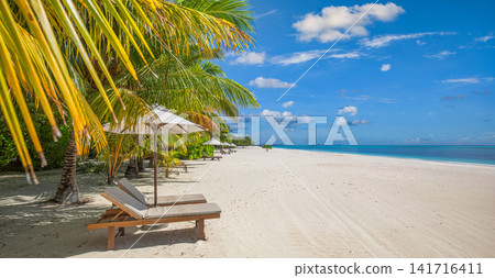 Sun-drenched beach loungers under palm-fringed umbrella on powder-white sand beside turquoise lagoon blue sky tropical paradise. Perfect summer vacation travel landscape paradise. Luxury honeymoon Sun-drenched beach loungers under palm-fringed umbrella on powder-white sand beside turquoise lagoon blue sky tropical paradise. Perfect summer vacation travel landscape paradise. Luxury honeymoon 141716411