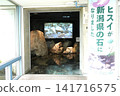 Jadeite from Niigata Prefecture 141716575