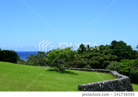 Green grass and blue sky Green grass and blue sky 141716593