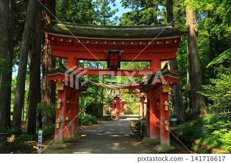 Takkoku-no-Iwaya Bishamondo, covered in greenery Takkoku-no-Iwaya Bishamondo, covered in greenery 141716617