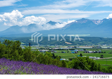 From the lavender fields, you can see the Furano Basin and the smoke-emitting Tokachi-dake mountain. From the lavender fields, you can see the Furano Basin and the smoke-emitting Tokachi-dake mountain. 141716873