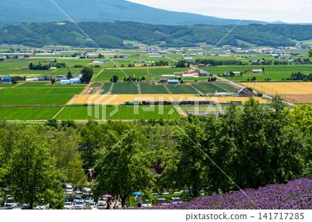 Following the Norokko sightseeing train running on the Furano Line from the lavender fields. Following the Norokko sightseeing train running on the Furano Line from the lavender fields. 141717285