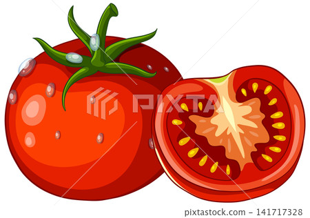 Fresh Red Tomato Vector Illustration with Sliced Half and Water Droplets Fresh Red Tomato Vector Illustration with Sliced Half and Water Droplets 141717328