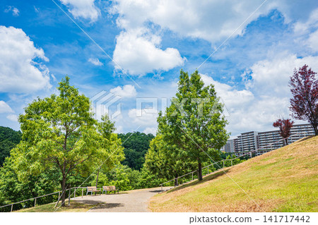 Saito Nishi Park, Ibaraki City, Osaka Prefecture Saito Nishi Park, Ibaraki City, Osaka Prefecture 141717442