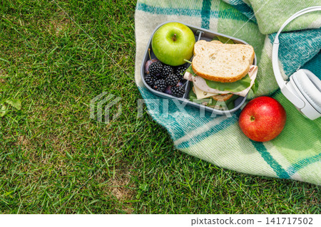 Picnic on a lawn with books, sandwiches, fruits Picnic on a lawn with books, sandwiches, fruits 141717502