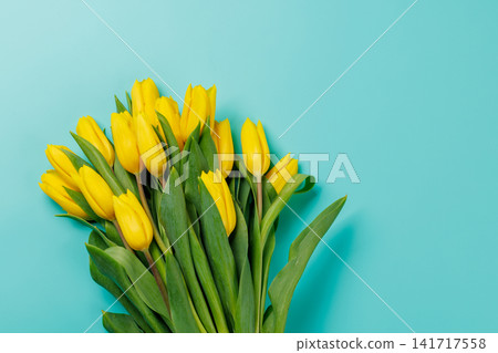 Yellow tulips on blue background Yellow tulips on blue background 141717558