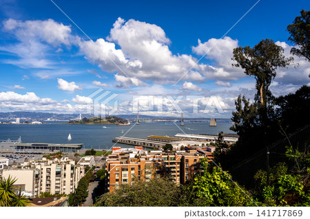 Panoramic view of San Francisco Bay and lush greenery, USA Panoramic view of San Francisco Bay and lush greenery, USA 141717869