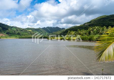 Mangrove on the Coast of Tahaa Island, French Polynesia Mangrove on the Coast of Tahaa Island, French Polynesia 141717872