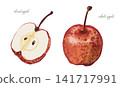 Illustration of red apple 141717991