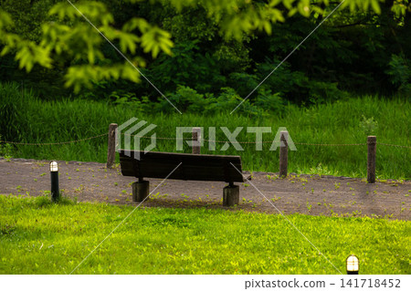A walking path surrounded by fresh greenery and benches near Onogawa Onsen. A walking path surrounded by fresh greenery and benches near Onogawa Onsen. 141718452