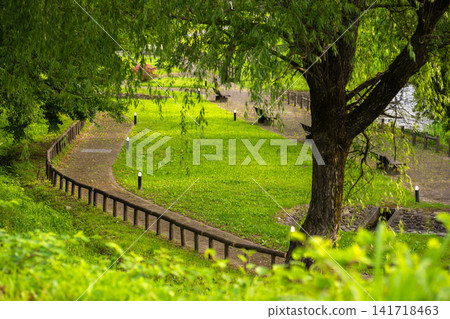 小野川溫泉附近一條風景優美的步道,周圍綠樹環繞。 小野川溫泉附近一條風景優美的步道,周圍綠樹環繞。 141718463