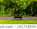 A park with fresh greenery and benches bathed in dappled sunlight. 141718500