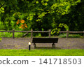 Park benches and lush green scenery in the Onogawa hot spring town. 141718503