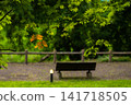 Park benches in the Onogawa hot spring town and the greenery of early summer 141718505