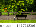 A wooden bench in a quiet park surrounded by fresh greenery 141718506