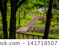 Lush green walking paths and river scenery in the Onogawa Onsen hot spring town. 141718507