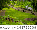 The Otaru River riverside green space and walking path in the Onogawa Onsen area. 141718508