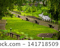 Walking paths and river scenery in the Onogawa hot spring town 141718509