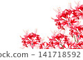 Illustration of red amaryllis 141718592