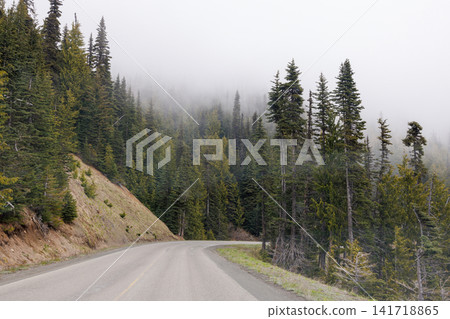 Road winding through Olympic National Park surrounded by tall, dense forest Road winding through Olympic National Park surrounded by tall, dense forest 141718865