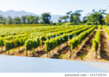 Empty table in sunlit vineyard mockup Empty table in sunlit vineyard mockup 141719134