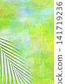 Fresh white palm leaves against a grunge green background. 141719236