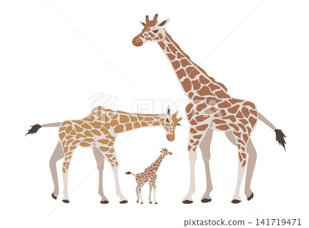 Giraffe family Giraffe family 141719471