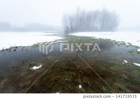 Water and snow on a foggy meadow Water and snow on a foggy meadow 141719533